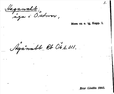 Bild på arkivkortet för arkivposten Haganabb
