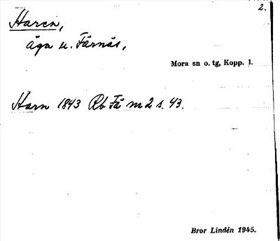 Bild på arkivkortet för arkivposten Haren