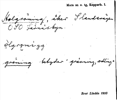 Bild på arkivkortet för arkivposten Holgröming