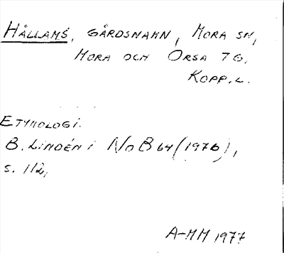 Bild på arkivkortet för arkivposten Hållams