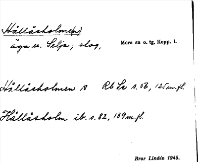 Bild på arkivkortet för arkivposten Hållåsholme(n)