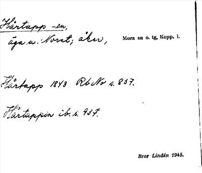 Bild på arkivkortet för arkivposten Hårtapp -en