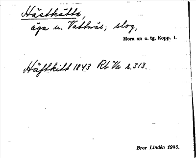 Bild på arkivkortet för arkivposten Hästkätte