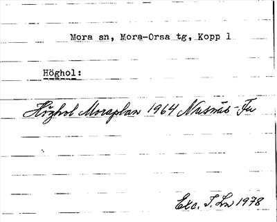 Bild på arkivkortet för arkivposten Höghol