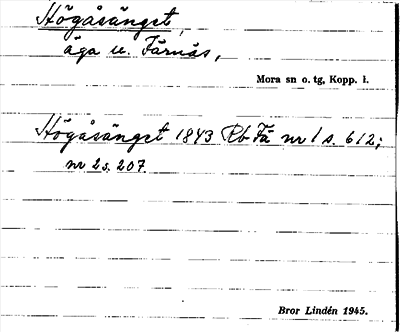 Bild på arkivkortet för arkivposten Högåsänget