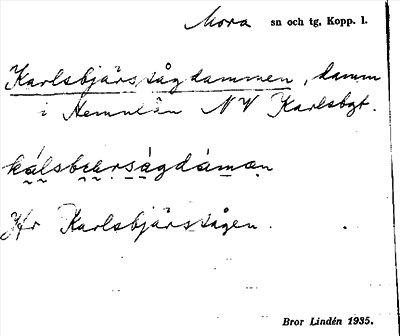 Bild på arkivkortet för arkivposten Karlsbjärs sågdammen