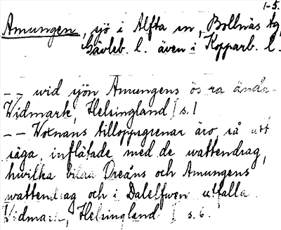Bild på arkivkortet för arkivposten Amungen