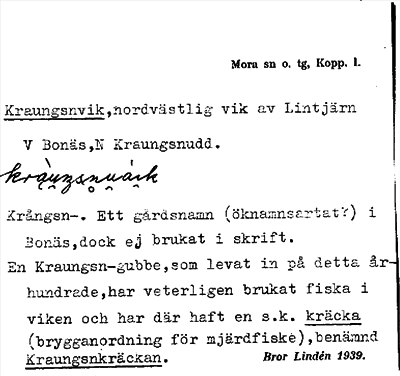 Bild på arkivkortet för arkivposten Kraungsnvik