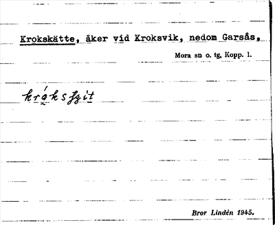Bild på arkivkortet för arkivposten Krokskätte