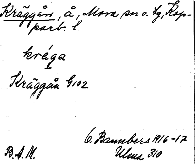 Bild på arkivkortet för arkivposten Kräggån