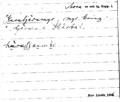 Bild på arkivkortet för arkivposten Kurutjärnmyr