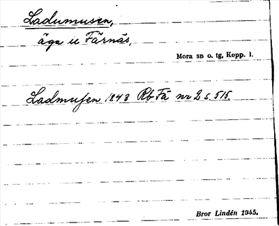 Bild på arkivkortet för arkivposten Ladumusen