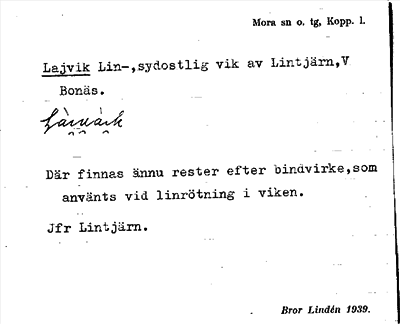 Bild på arkivkortet för arkivposten Lajvik