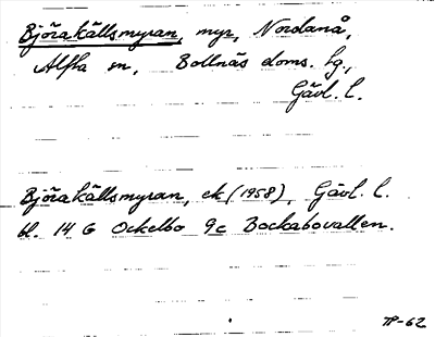 Bild på arkivkortet för arkivposten Björakällsmyran