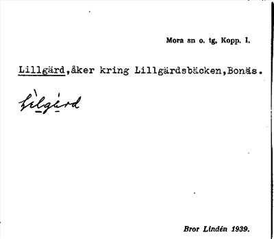 Bild på arkivkortet för arkivposten Lillgärd