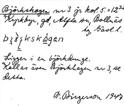 Bild på arkivkortet för arkivposten Björkskogen
