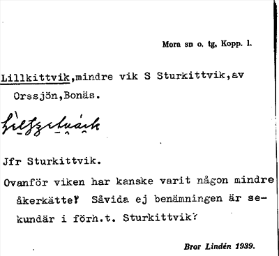 Bild på arkivkortet för arkivposten Lillkittvik