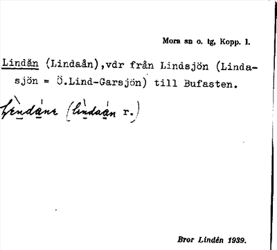 Bild på arkivkortet för arkivposten Lindån
