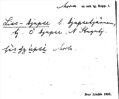 Bild på arkivkortet för arkivposten Liss - Djupse