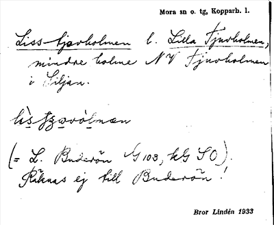 Bild på arkivkortet för arkivposten Liss tjovholmen l. Lilla tjuvholmen