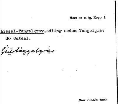 Bild på arkivkortet för arkivposten Lissel-Tungelgrav