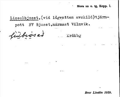 Bild på arkivkortet för arkivposten Lisselbjoset