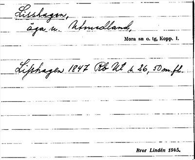 Bild på arkivkortet för arkivposten Lisshagen
