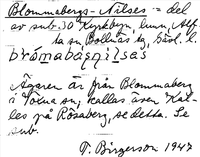 Bild på arkivkortet för arkivposten Blommabergs-Nilses