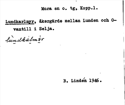 Bild på arkivkortet för arkivposten Lundkarlmyr