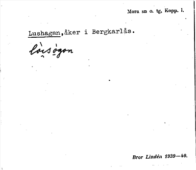 Bild på arkivkortet för arkivposten Lushagan