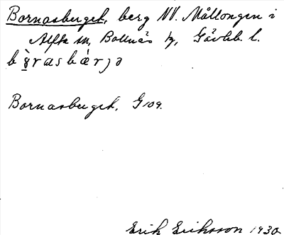 Bild på arkivkortet för arkivposten Bornasberget
