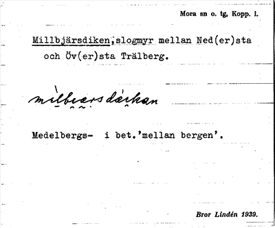 Bild på arkivkortet för arkivposten Millbjärsdiken