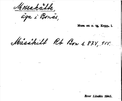 Bild på arkivkortet för arkivposten Mossakätte