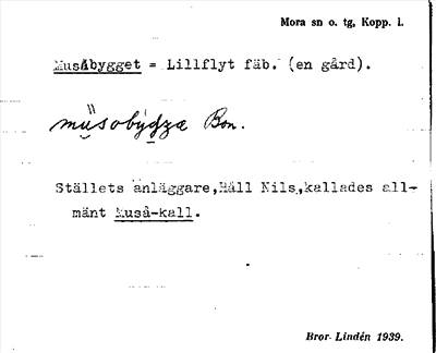 Bild på arkivkortet för arkivposten Musåbygget