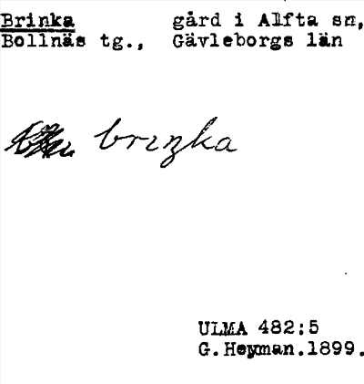 Bild på arkivkortet för arkivposten Brinka