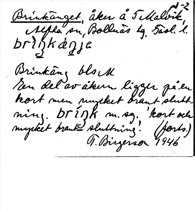 Bild på arkivkortet för arkivposten Brinkänget