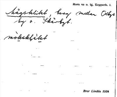 Bild på arkivkortet för arkivposten Mågsklikt