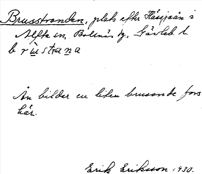 Bild på arkivkortet för arkivposten Brusstranden