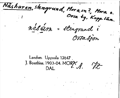 Bild på arkivkortet för arkivposten Näsharen