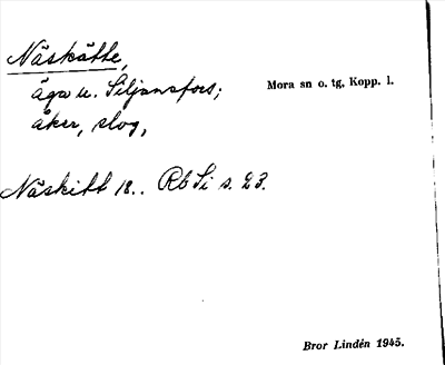 Bild på arkivkortet för arkivposten Näskätte