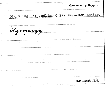 Bild på arkivkortet för arkivposten Olgröming