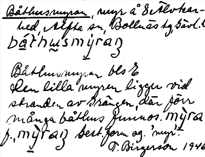 Bild på arkivkortet för arkivposten Båthusmyran