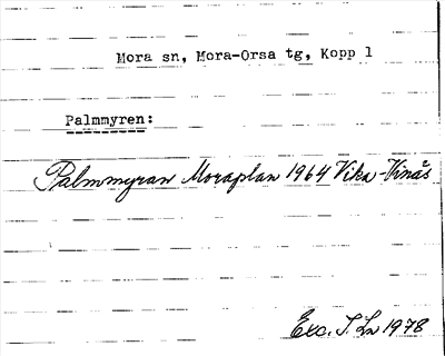 Bild på arkivkortet för arkivposten Palmmyren