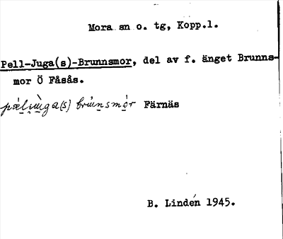 Bild på arkivkortet för arkivposten Pel-Juga(s)-Brunnsmor