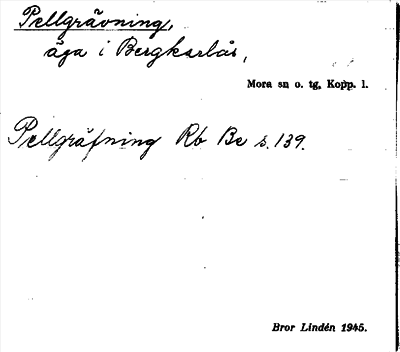 Bild på arkivkortet för arkivposten Pellgrävning