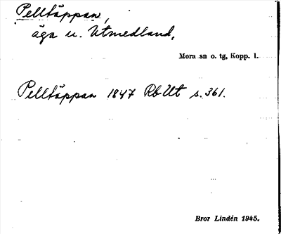 Bild på arkivkortet för arkivposten Pelltäppan