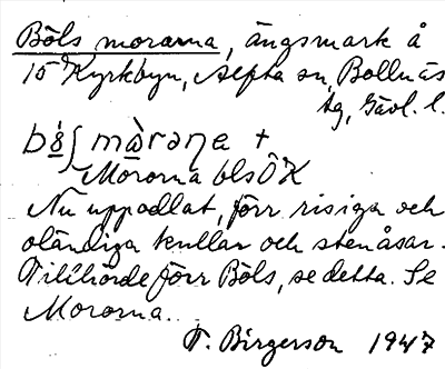 Bild på arkivkortet för arkivposten Böls morarna