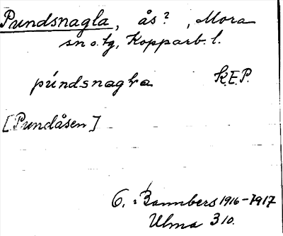Bild på arkivkortet för arkivposten Pundsnagla