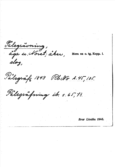 Bild på arkivkortet för arkivposten Pålsgrävning