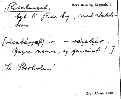 Bild på arkivkortet för arkivposten Risaberget